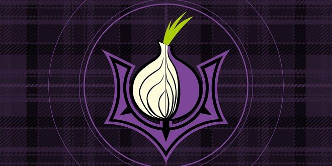 Установка tor browser mint mega2web what is the use of tor browser мега
